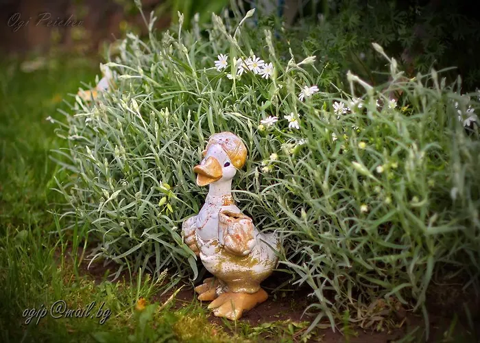 Kalvachevi Hotel Tsigov Chark